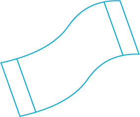 Epineurium